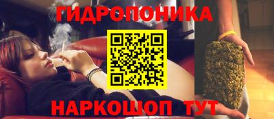 гидра Тула