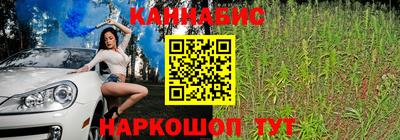Альфа ПВП Тулун